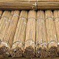 50 x 4ft Heavy Duty Bamboo Garden Canes Strong Thick Quality Plant Support — alternate product view 2