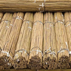 50 x 4ft Heavy Duty Bamboo Garden Canes Strong Thick Quality Plant Support — alternate product view 2