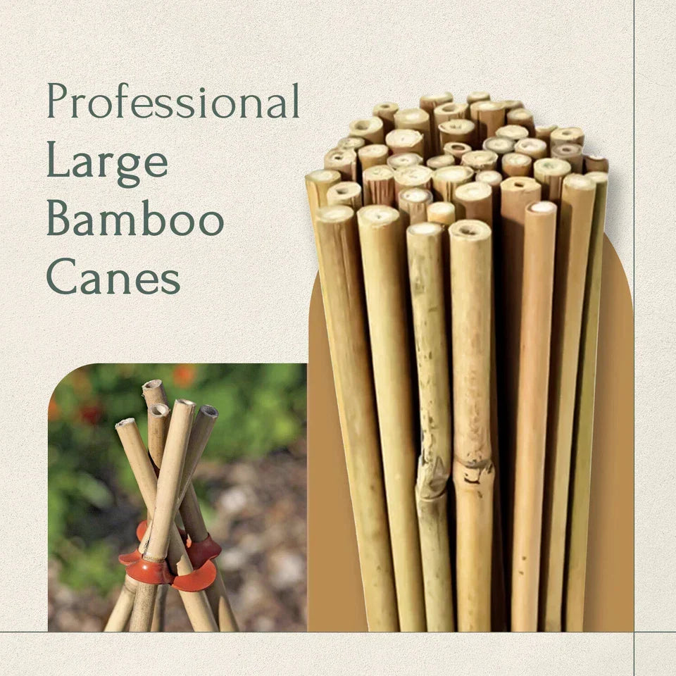 50 x 4ft Heavy Duty Bamboo Garden Canes Strong Thick Quality Plant Support — alternate product view 6