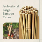 50 x 4ft Heavy Duty Bamboo Garden Canes Strong Thick Quality Plant Support — alternate product view 6