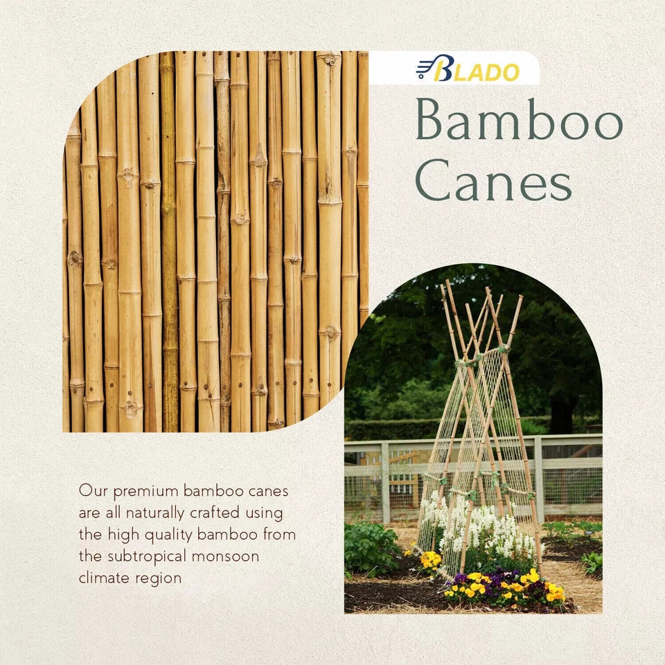 50 x 4ft Heavy Duty Bamboo Garden Canes Strong Thick Quality Plant Support — alternate product view 7