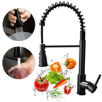 Matt Black Monobloc Kitchen Sink Mixer Tap with Pull Out Hose Spray Single Lever — on a clean white background