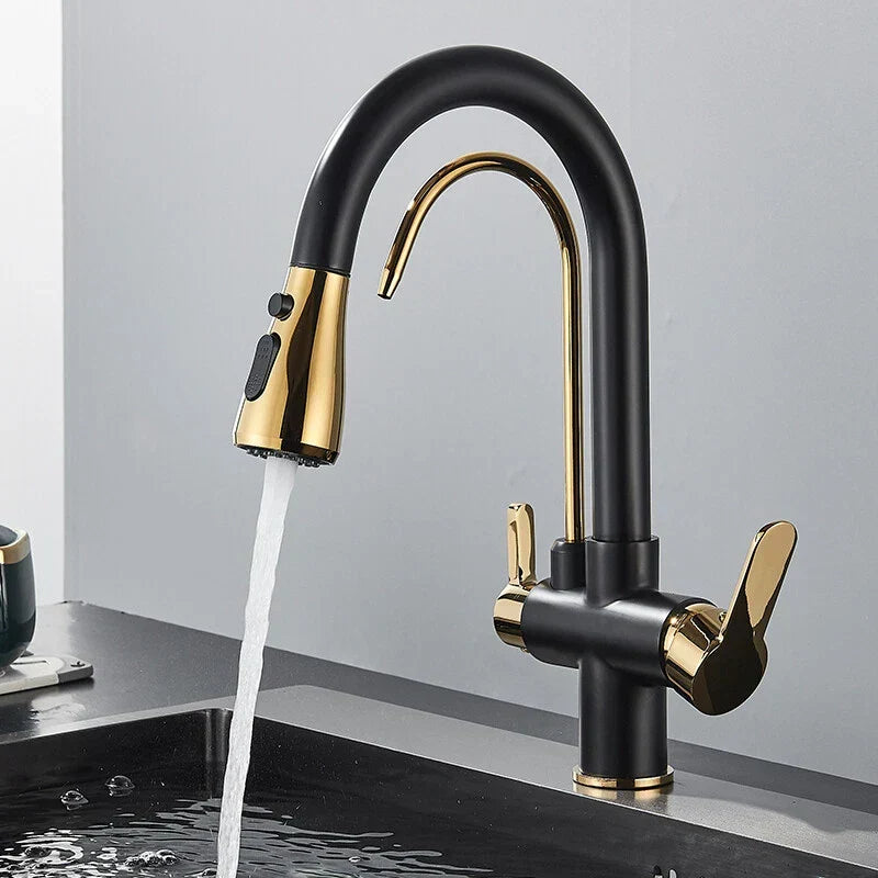 Modern Mono Kitchen Sink Mixer Taps 360° Pull Out Spray Spout Twin Lever 3 Way — Black & Gold — product view