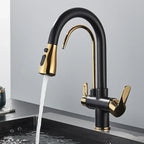 Modern Mono Kitchen Sink Mixer Taps 360° Pull Out Spray Spout Twin Lever 3 Way — Black & Gold — product view