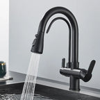 Modern Mono Kitchen Sink Mixer Taps 360° Pull Out Spray Spout Twin Lever 3 Way — Black — product view