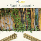 50 x 4ft Heavy Duty Bamboo Garden Canes Strong Thick Quality Plant Support — alternate product view 5