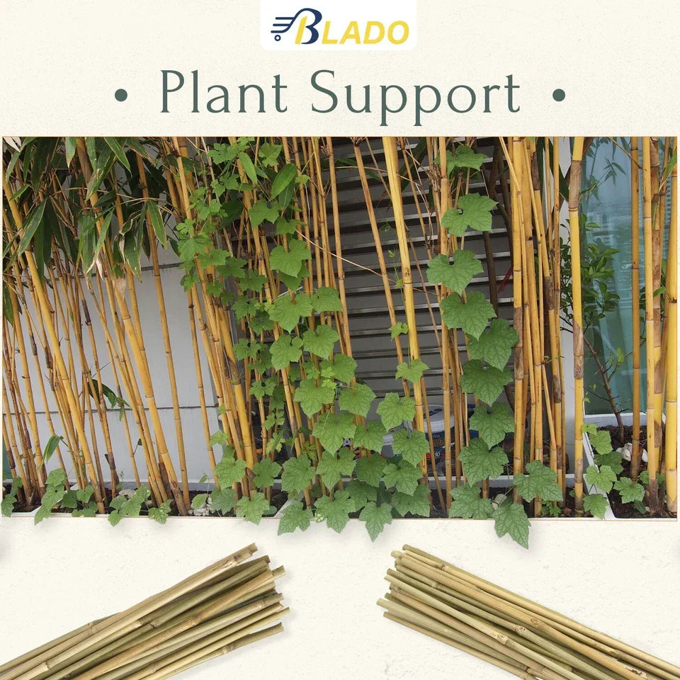 50 x 4ft Heavy Duty Bamboo Garden Canes Strong Thick Quality Plant Support — alternate product view 5