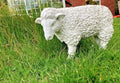 Spring Lamb Garden Ornament Resin Laying Down Sheep Statue Farmyard Gift Garden — Sheep white side — product view