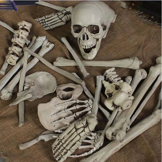 28PCS Bag of Bones Human Skull Skeleton Halloween Scary Pirate Party Decoration — alternate product view 3