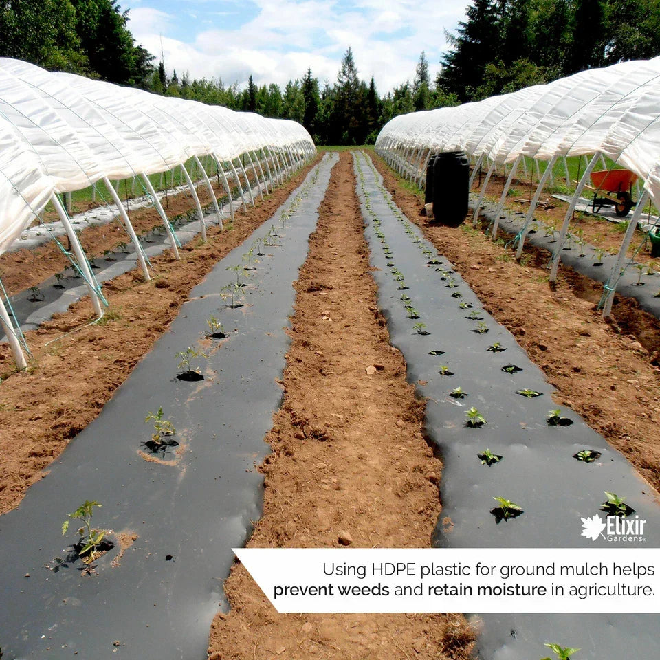 2m x 5m 500g Clear Polythene Plastic Green house Sheeting Heavy Duty Building — alternate product view 4