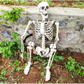 170cm Full Life Size Halloween Hanging Human Skeleton Bones Posable Skull Party — main product view