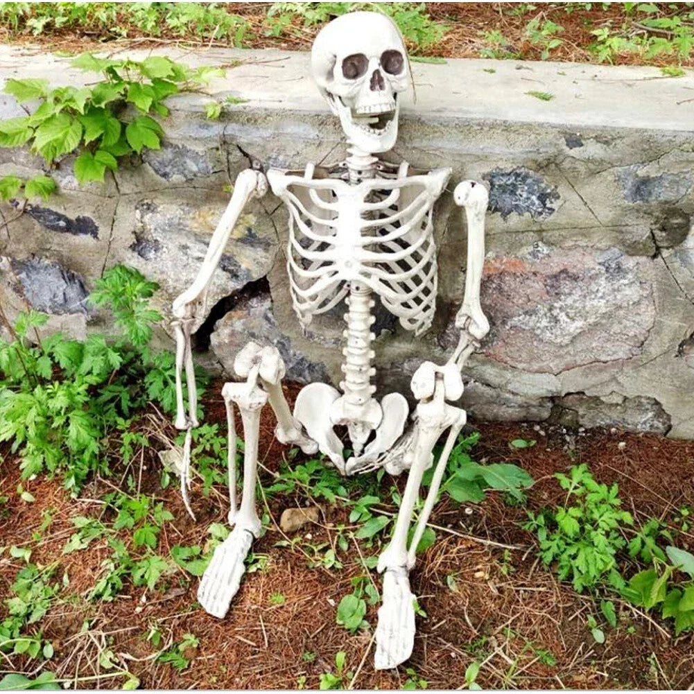 170cm Full Life Size Halloween Hanging Human Skeleton Bones Posable Skull Party — main product view