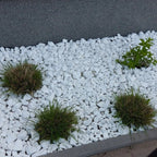 Decorative MARBLE EXTRA WHITE Stones / Pebbles HOME & GARDEN AQUARIUM 20-70 mm — alternate product view 3