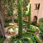 Pair of Italian Cypress Trees Ornamental Ever- green Shrubs, 2 sizes — alternate product view 6