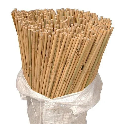 50 x 4ft Heavy Duty Bamboo Garden Canes Strong Thick Quality Plant Support — on a clean white background
