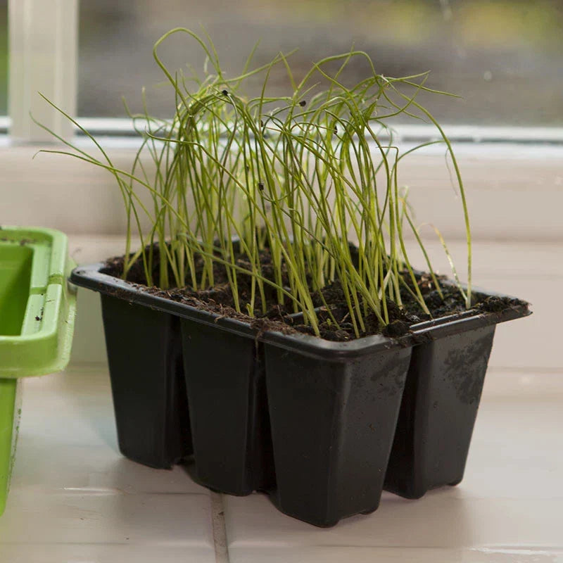 Windowsill Propagator Kit, Indoor Greenhouse, Set of 3, For 90 Plants, Reusable — alternate product view 6