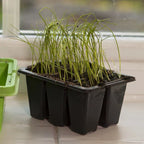 Windowsill Propagator Kit, Indoor Greenhouse, Set of 3, For 90 Plants, Reusable — alternate product view 6