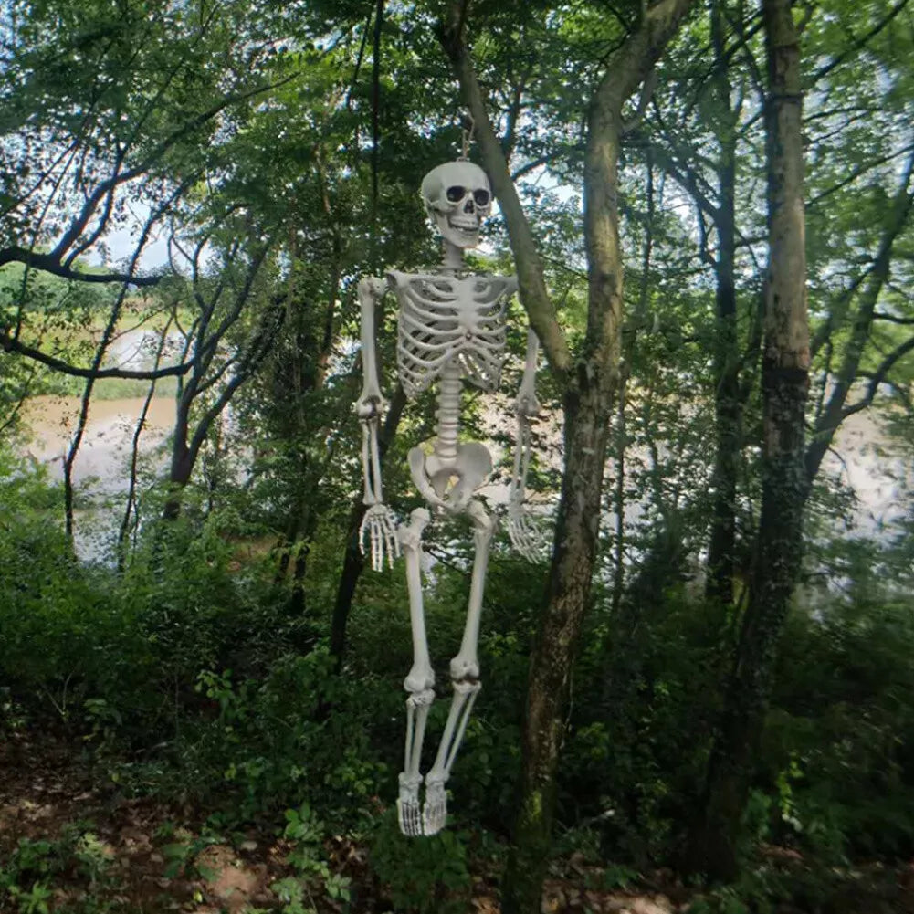 160CM Hanging Full Life Size Human Skeleton Model Halloween Party Prop Bar Decor — alternate product view 5
