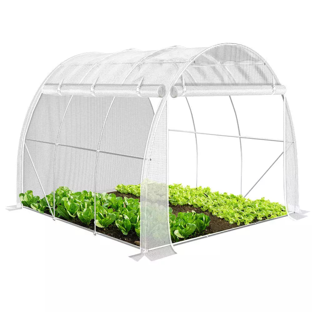 Polytunnel Greenhouse Grow House with Roll-up Side Walls, 3x2x2m 6m² — on a clean white background