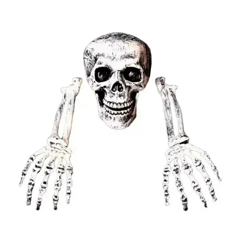 Scary Halloween Decoration Skeleton Bones Prop Human Skull Party Ground Breaking — on a clean white background