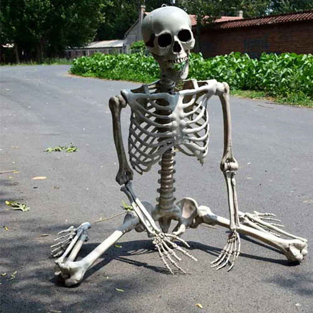 170cm Full Life Size Halloween Hanging Human Skeleton Bones Posable Skull Party — alternate product view 4