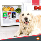 6 Plastic Can Lids Reusable Pet Food Caps Covers Dog Cat Tin Tops Fresh Storage — alternate product view 8