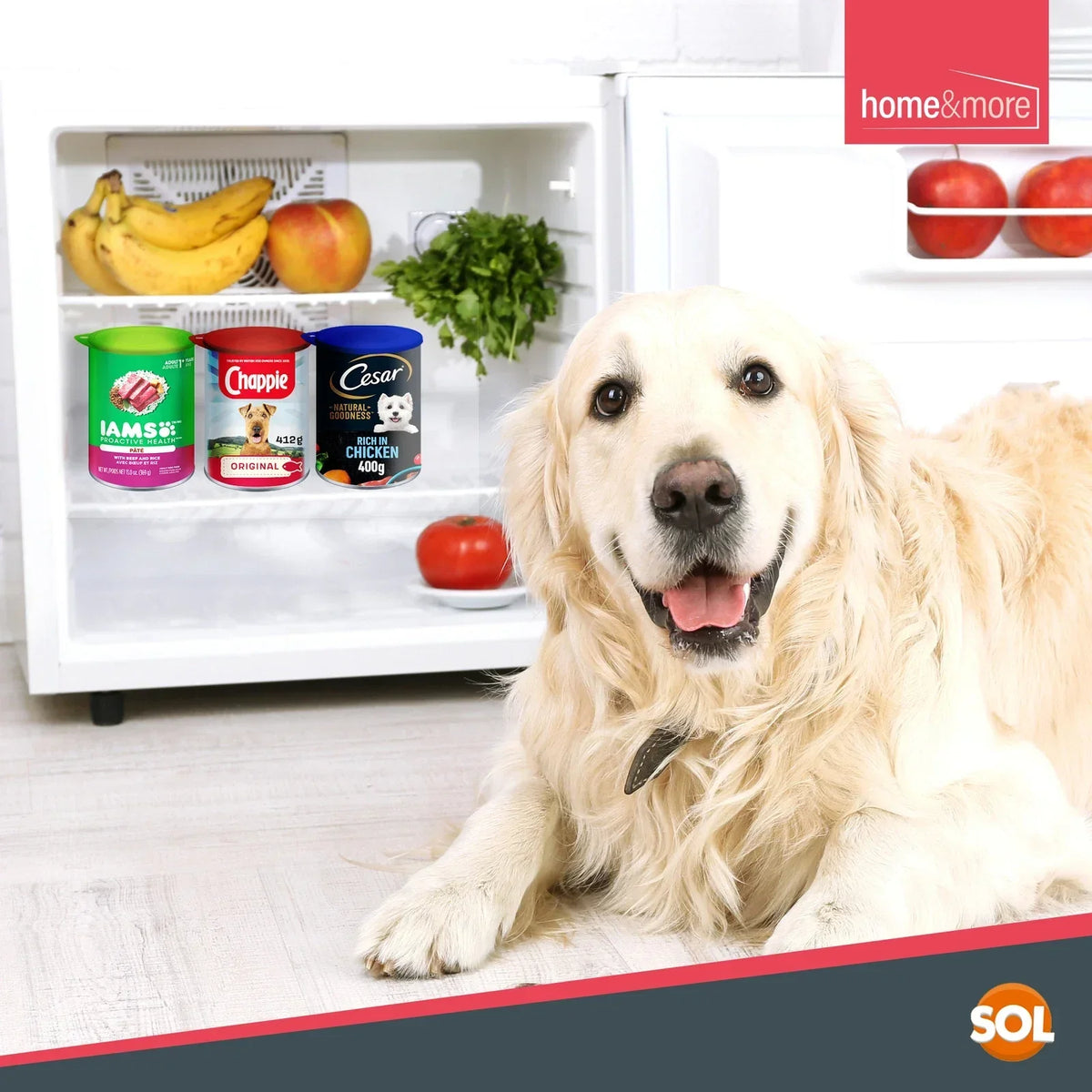 6 Plastic Can Lids Reusable Pet Food Caps Covers Dog Cat Tin Tops Fresh Storage — alternate product view 8