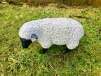 Spring Lamb Garden Ornament Resin Laying Down Sheep Statue Farmyard Gift Garden — Black and white sheep side — product view