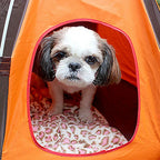 Sun-block Pet Tent Waterproof Tent Foldable Breathable Breathable Pet Shelter — alternate product view 5