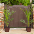 Pair of Hardy Phoenix Palm Canariensis Exotic Trees 60-80cm Tall in a 14cm Pot — main product view