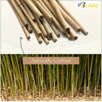 50 x 4ft Heavy Duty Bamboo Garden Canes Strong Thick Quality Plant Support — alternate product view 4