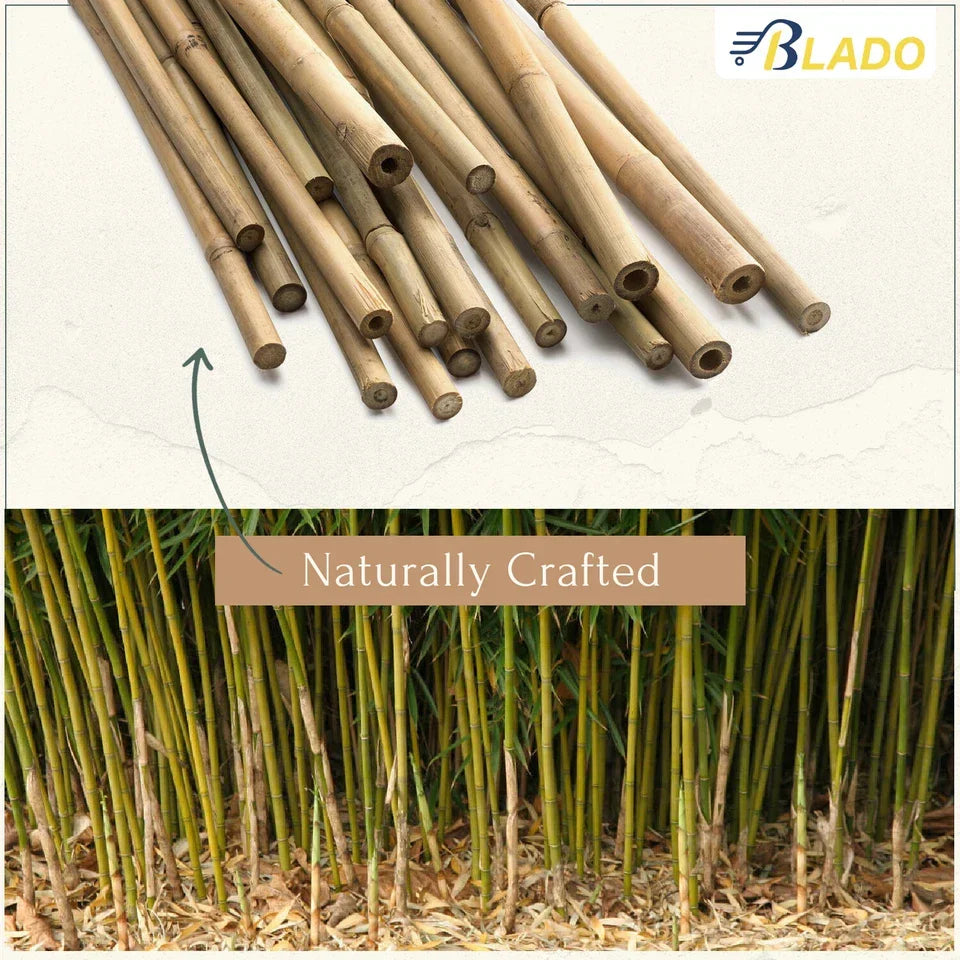 50 x 4ft Heavy Duty Bamboo Garden Canes Strong Thick Quality Plant Support — alternate product view 4