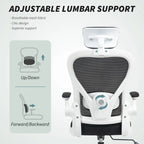 Ergonomic Mesh Office Chair with Headrest, Lumbar Support, Black — alternate product view 4