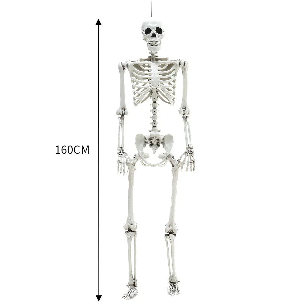 160CM Hanging Full Life Size Human Skeleton Model Halloween Party Prop Bar Decor — alternate product view 7