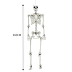 160CM Hanging Full Life Size Human Skeleton Model Halloween Party Prop Bar Decor — alternate product view 7