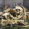 28PCS Bag of Bones Human Skull Skeleton Halloween Scary Pirate Party Decoration — main product view