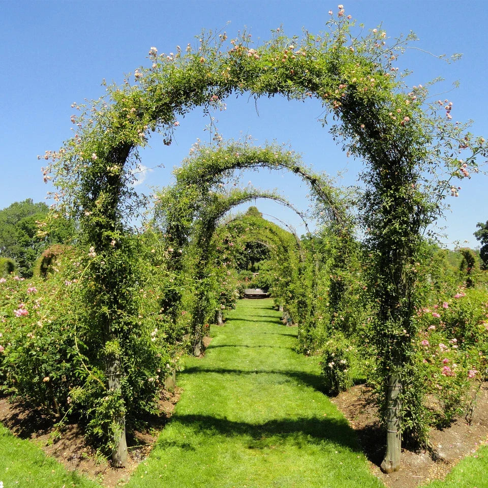 Large 2.4m Heavy Duty Metal Garden Arch Strong Rose Climbing Plants Support — alternate product view 2