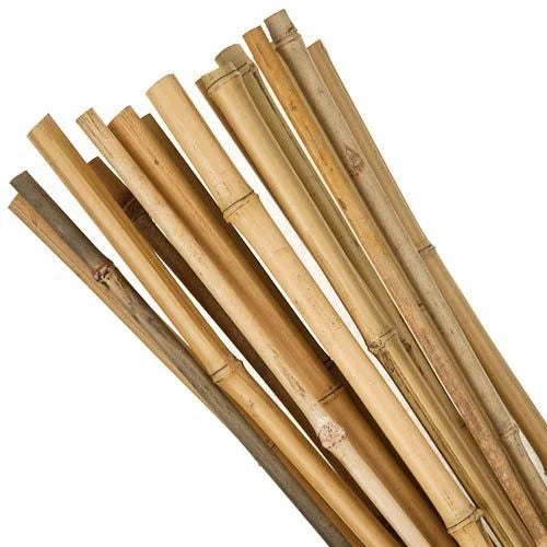 50 x 4ft Heavy Duty Bamboo Garden Canes Strong Thick Quality Plant Support — alternate product view 9