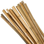 50 x 4ft Heavy Duty Bamboo Garden Canes Strong Thick Quality Plant Support — alternate product view 9