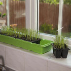 Windowsill Propagator Kit, Indoor Greenhouse, Set of 3, For 90 Plants, Reusable — alternate product view 3
