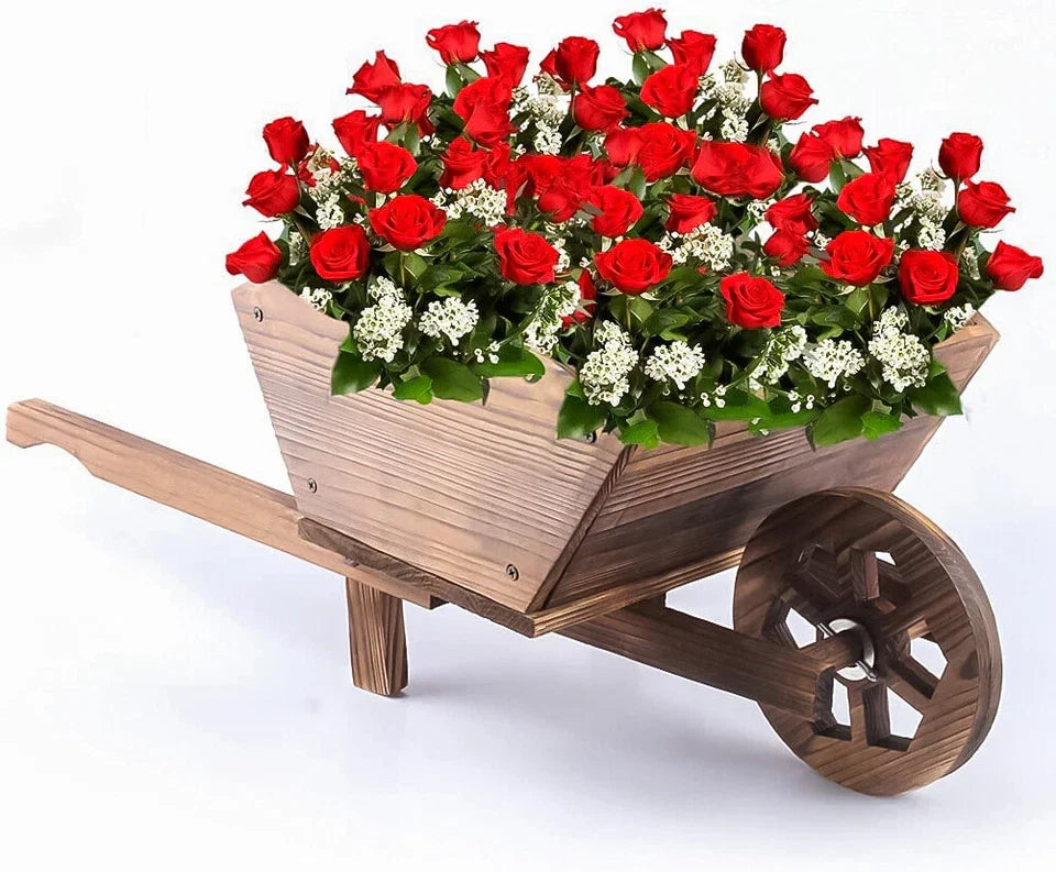 Wooden Wheelbarrow Cart Home & Garden — on a clean white background