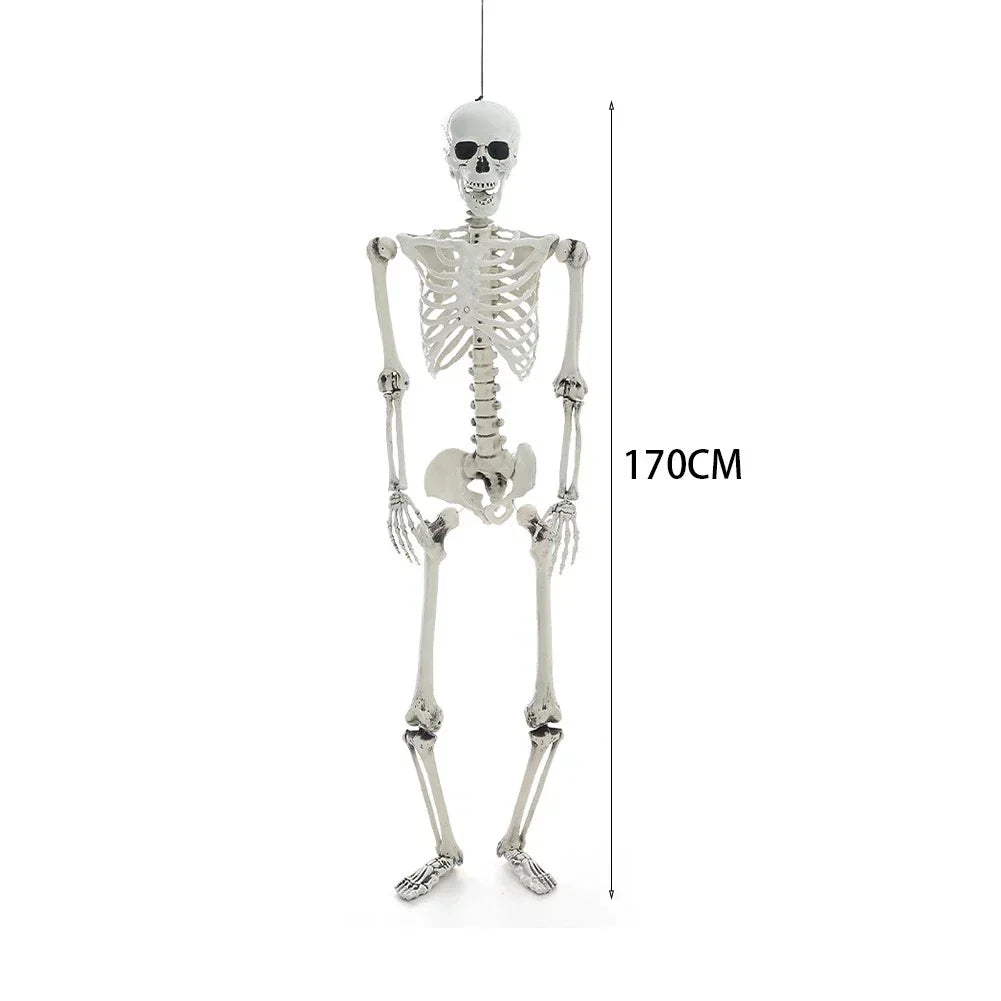 170cm Full Life Size Halloween Hanging Human Skeleton Bones Posable Skull Party — alternate product view 11