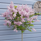 Standard Lilac Trees, Syringa Palibin, Double Flowering, 90-120cm, 3L Pots — alternate product view 4
