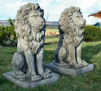 Pair Large Proud Lions Heavy Stone Cast Garden Statues by DGS UK 330KGS — alternate product view 3