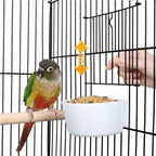 Bird Cage w/ Stand — alternate product view 5
