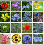 Wild Flower 50g seeds throw grow Meadow Scented Bee Butterfly Garden — alternate product view 2
