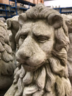 Pair Armorial Lion Statues — Reconstituted Stone Animal Concrete Garden Ornament — alternate product view 4