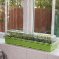 Windowsill Propagator Kit, Indoor Greenhouse, Set of 3, For 90 Plants, Reusable — alternate product view 2
