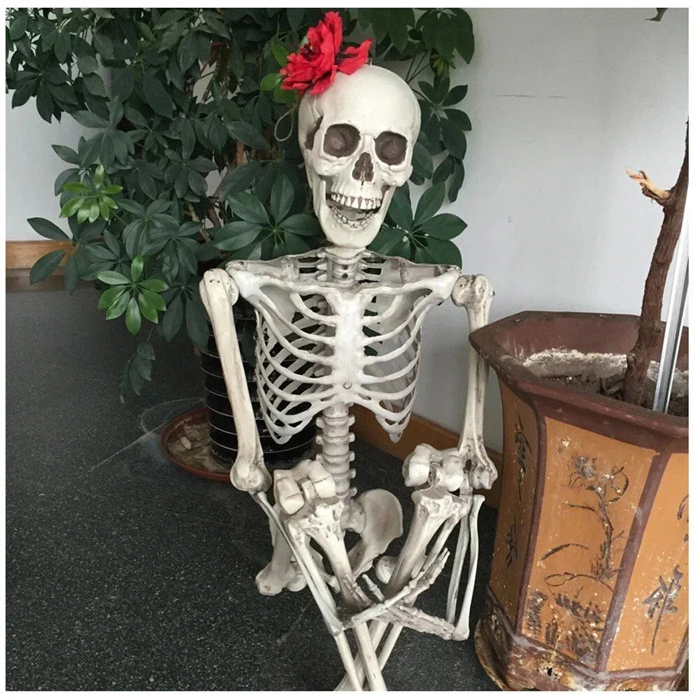 Halloween Human Skeleton Poseable Full Life Size Decoration Party Prop 90 cm — main product view