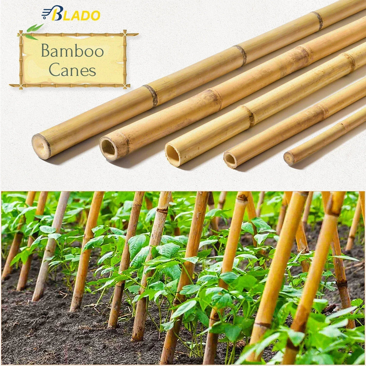 50 x 4ft Heavy Duty Bamboo Garden Canes Strong Thick Quality Plant Support — alternate product view 3